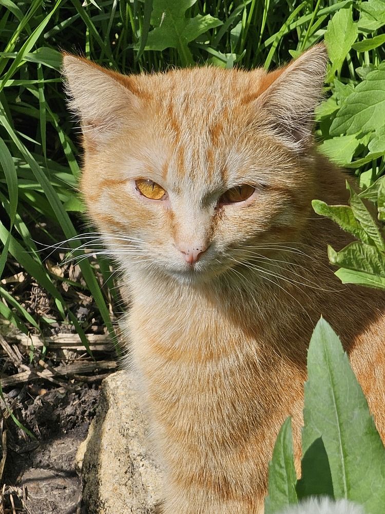 Photograph by Нина Новицкая