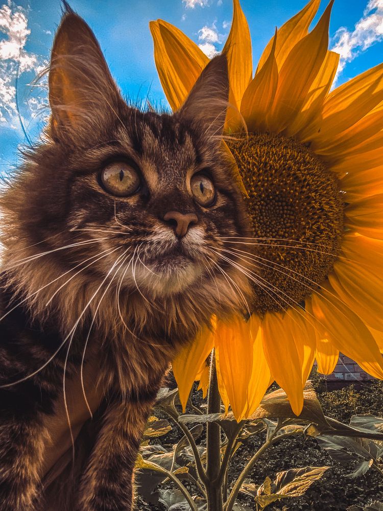 Photograph by Марина Сергеевна