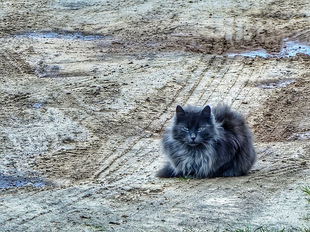Фотография автора Дана Богинская