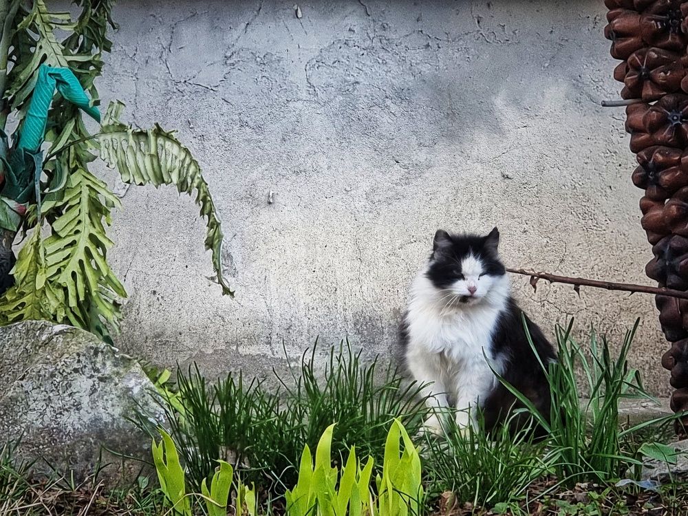 Фотография автора Дана Богинская