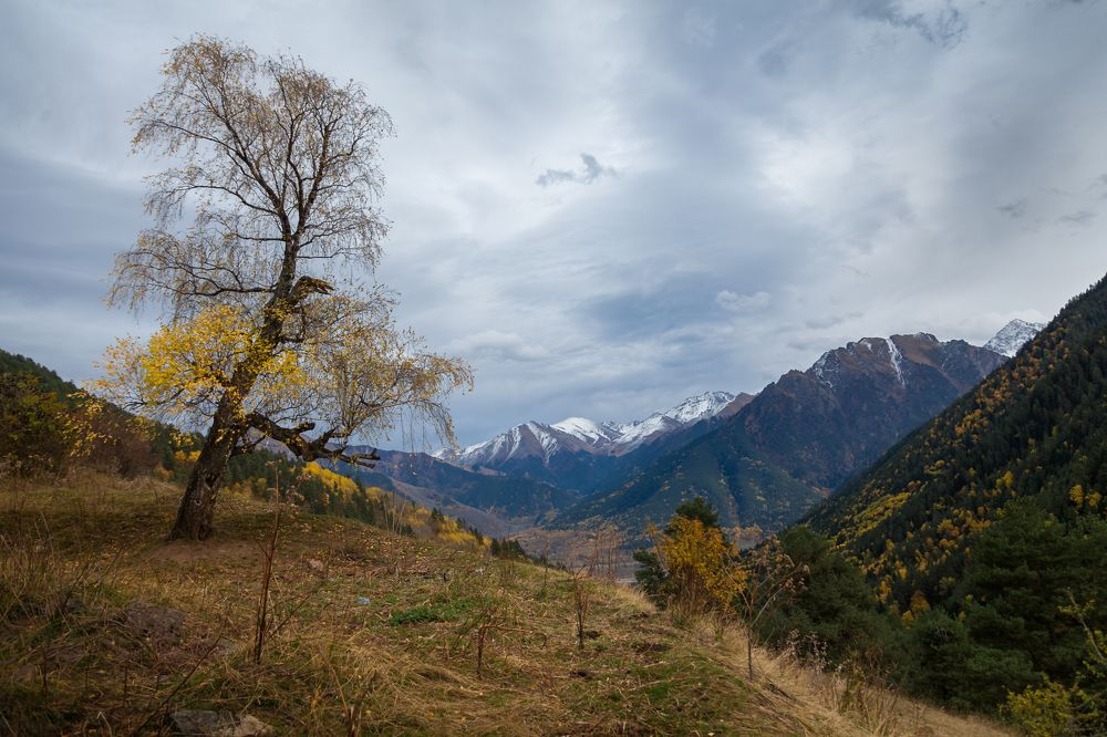 Photograph by 