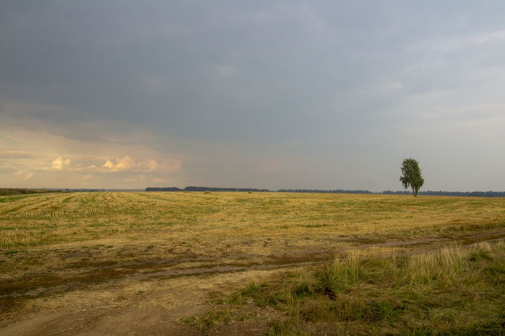 Photograph by Оксана Леонтьева