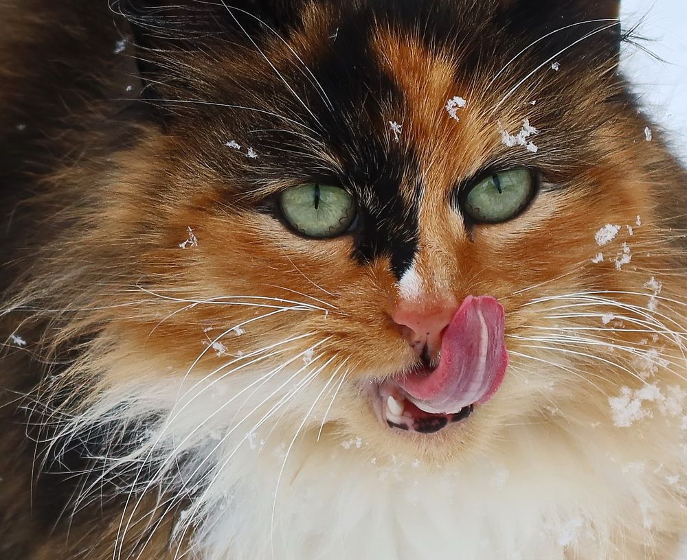 Photograph by Сергей Маслов