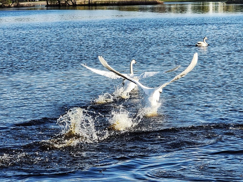 Фотография автора Дана Богинская