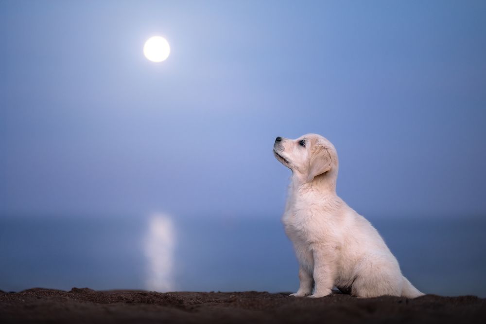 Фотография автора Ana Sánchez