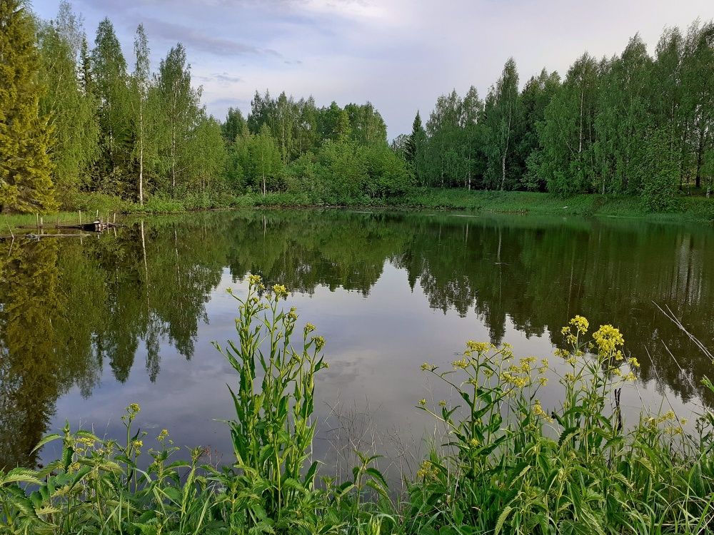 Photograph by Виктор Решетников