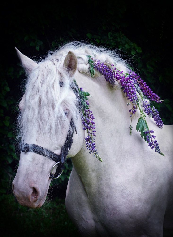 Photograph by Gala Zimina