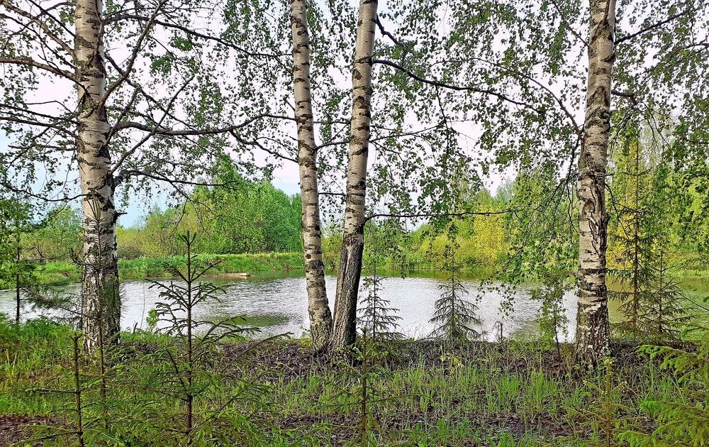 Photograph by Виктор Решетников