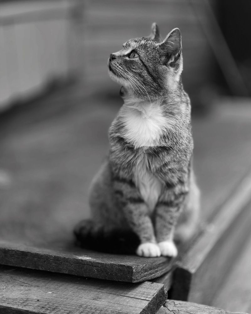 Photograph by Halina Mitsevich