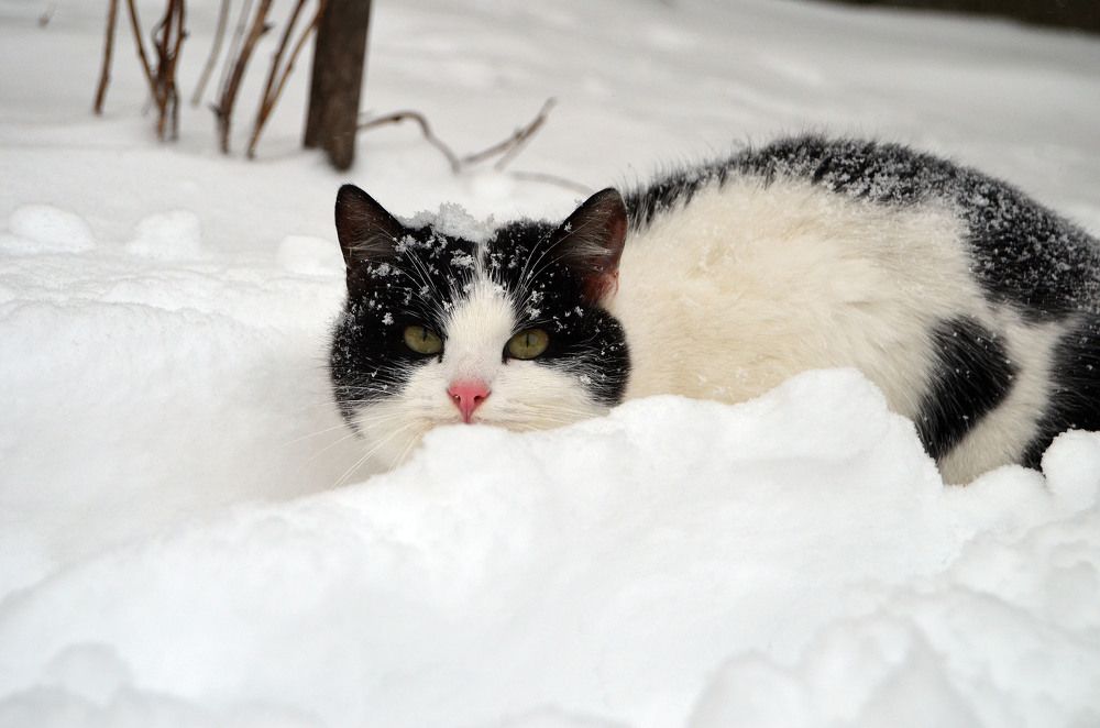 Photograph by Анастасия Кудина