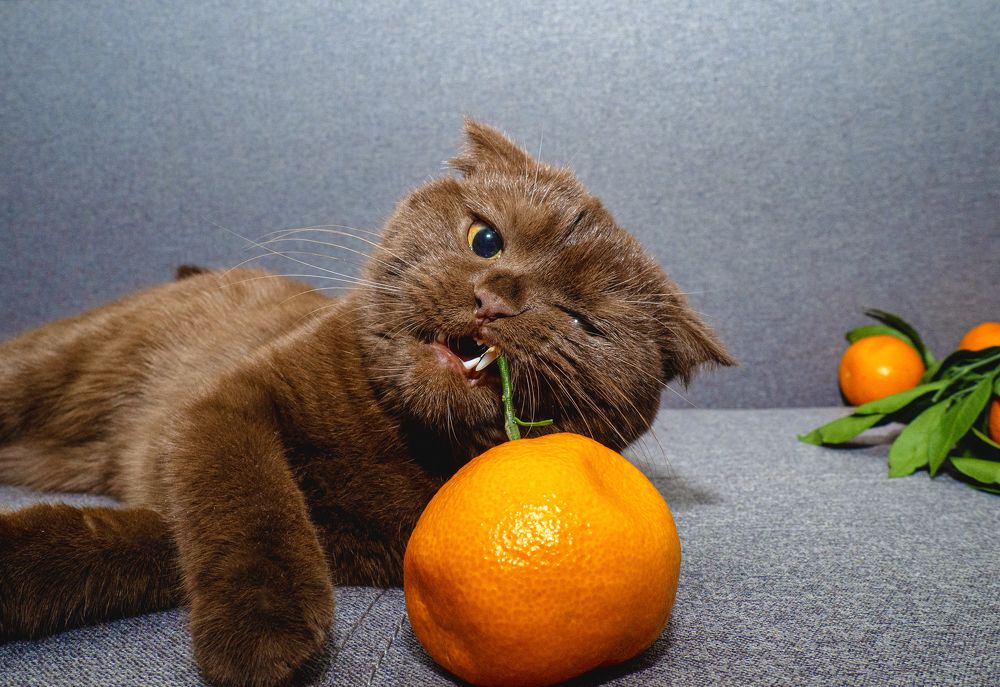 Photograph by Евгений Фазлеев