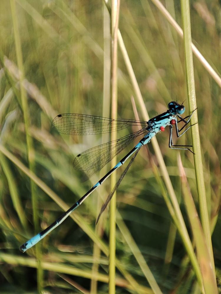 Photograph by Анастасия Кудина