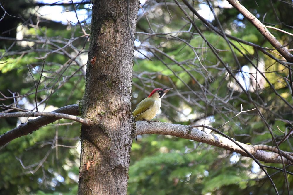 Photograph by Anna Zelinskaya