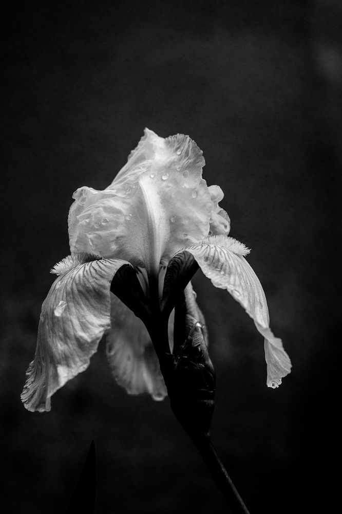 Photograph by Zeljko Grganic