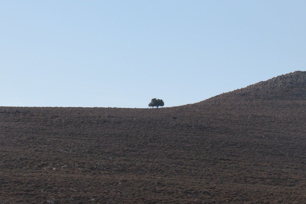 Фотография автора John Tsaklanos