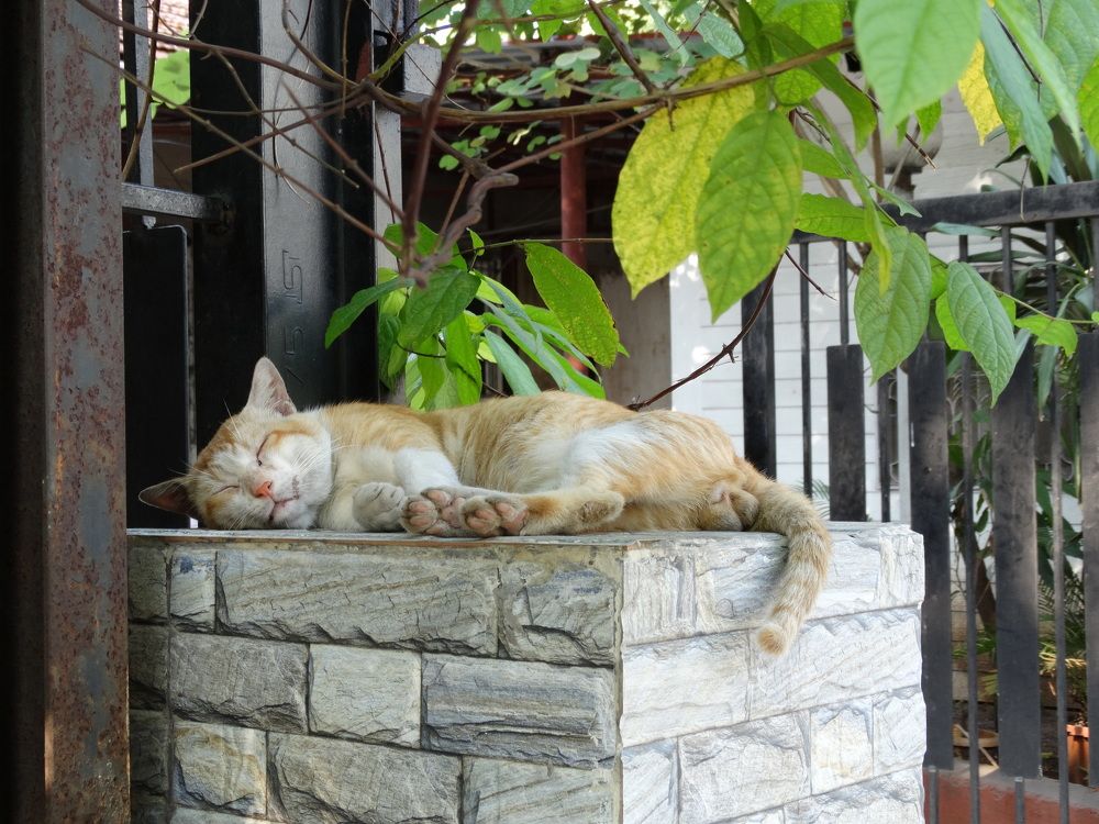 Photograph by Виктор