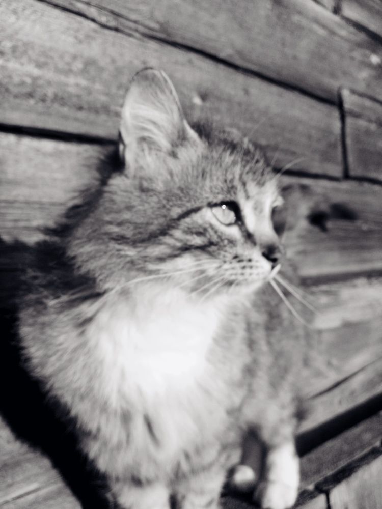 Photograph by Екатерина Филина