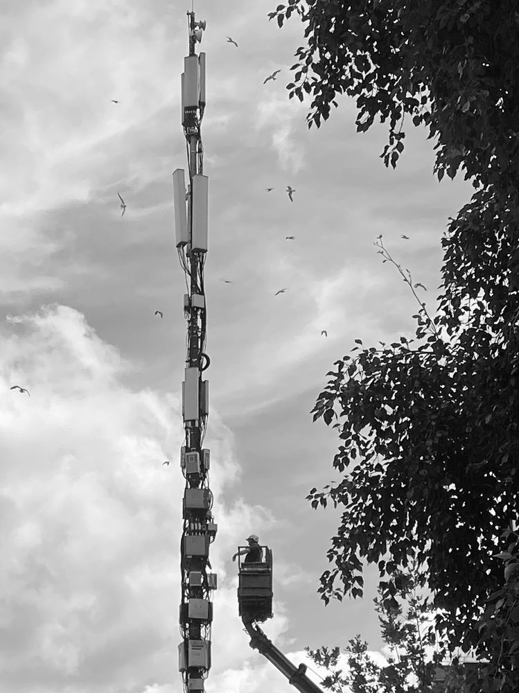 Photograph by Галина Сычева