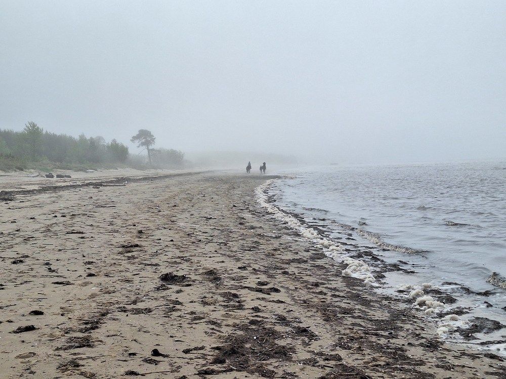 Photograph by Елена Петрова