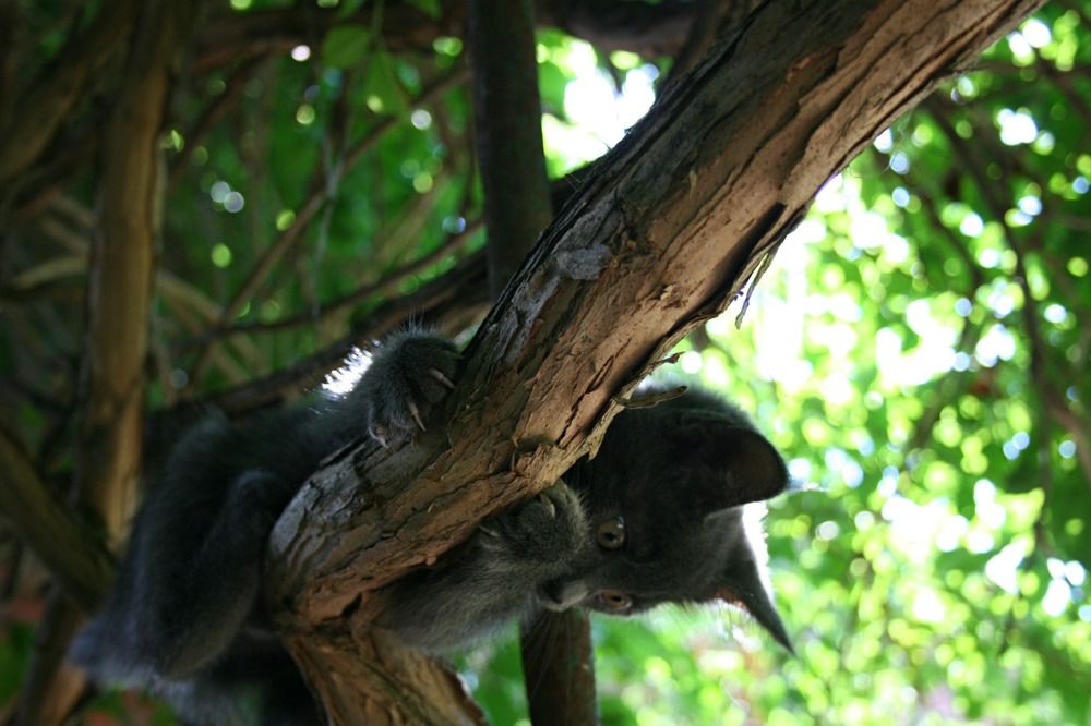 Photograph by Виктория