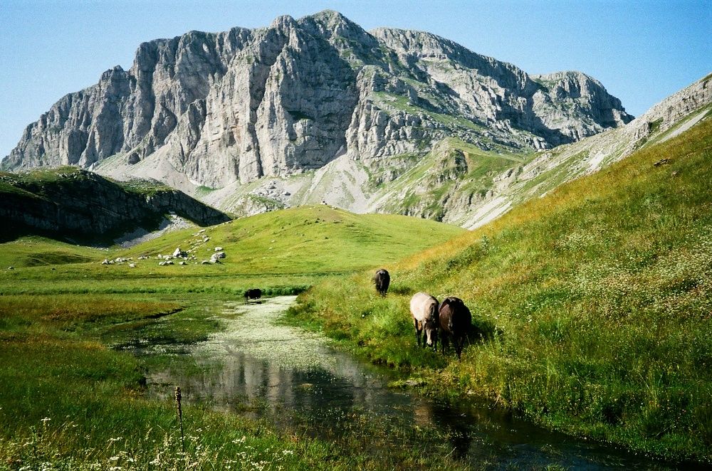 Photograph by Efthimis