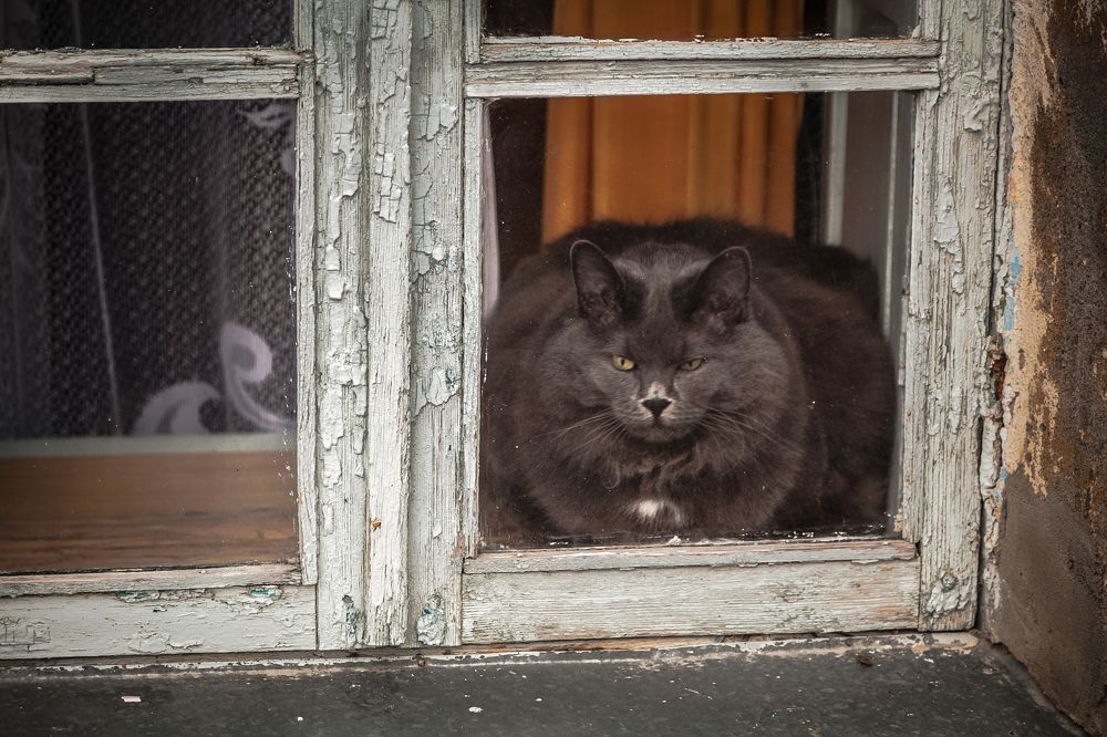Photograph by Кривенко Владимир