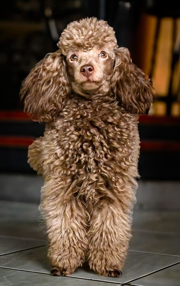 Photograph by Леонид Соболев