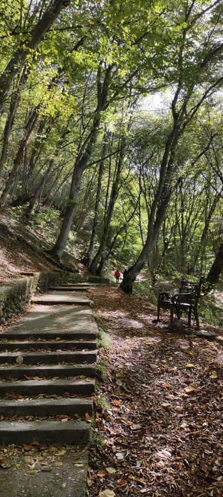 Photograph by Елена Семенова