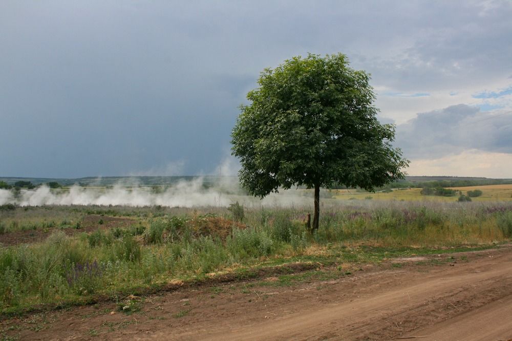 Photograph by Виктория