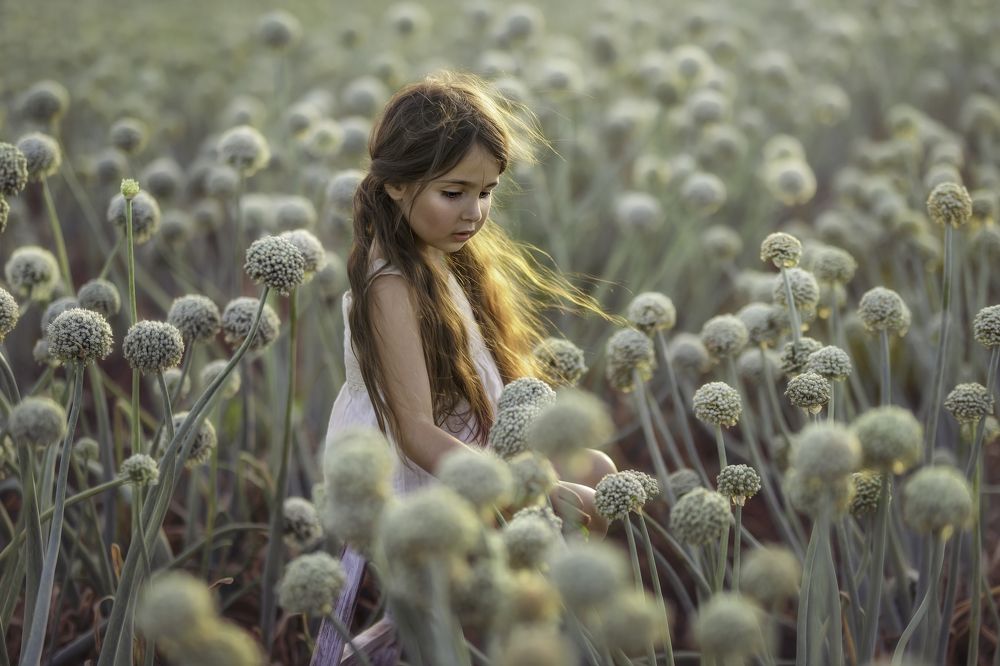 Photograph by Tahel Shenhav