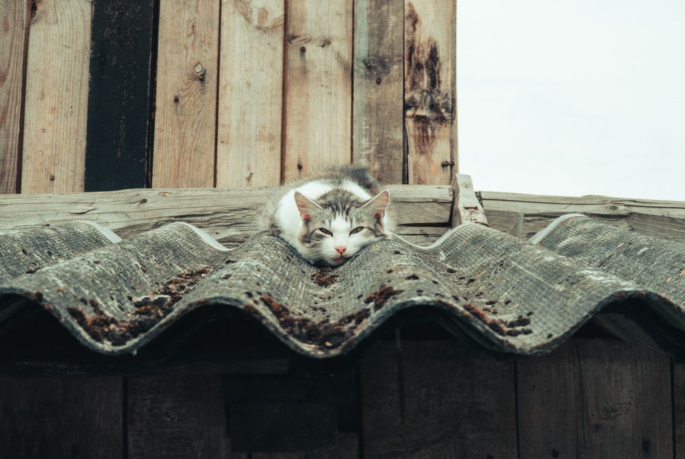 Photograph by Vitaliy