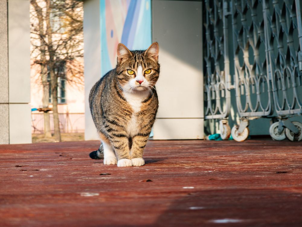 Photograph by Vitaliy