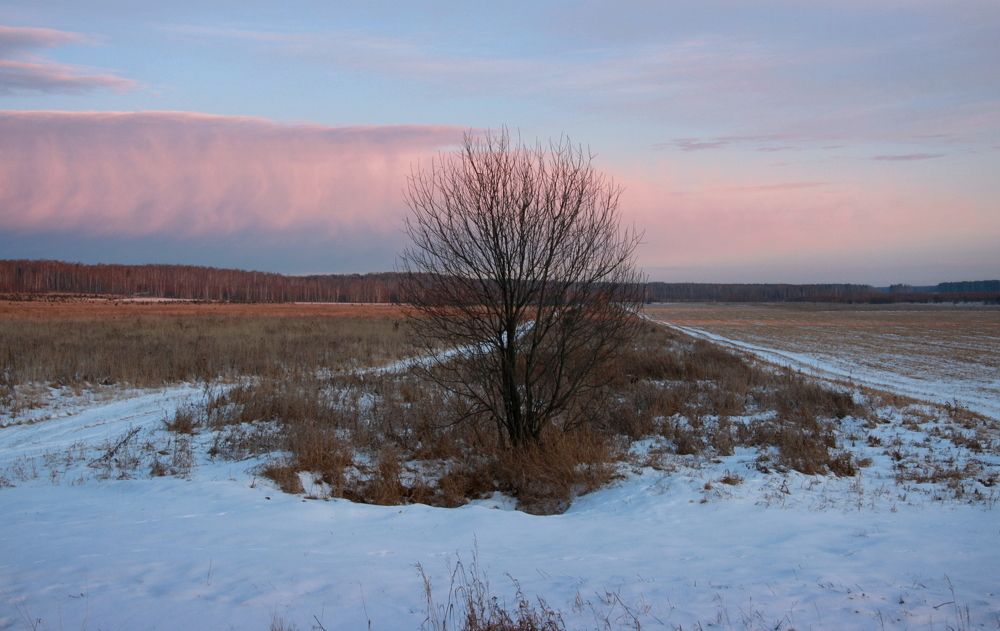 Фотография автора Nelya  Lysenko