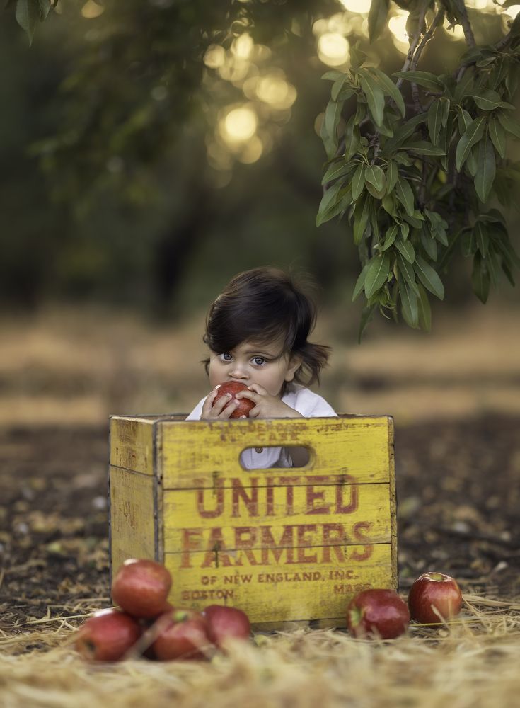 Photograph by Tahel Shenhav