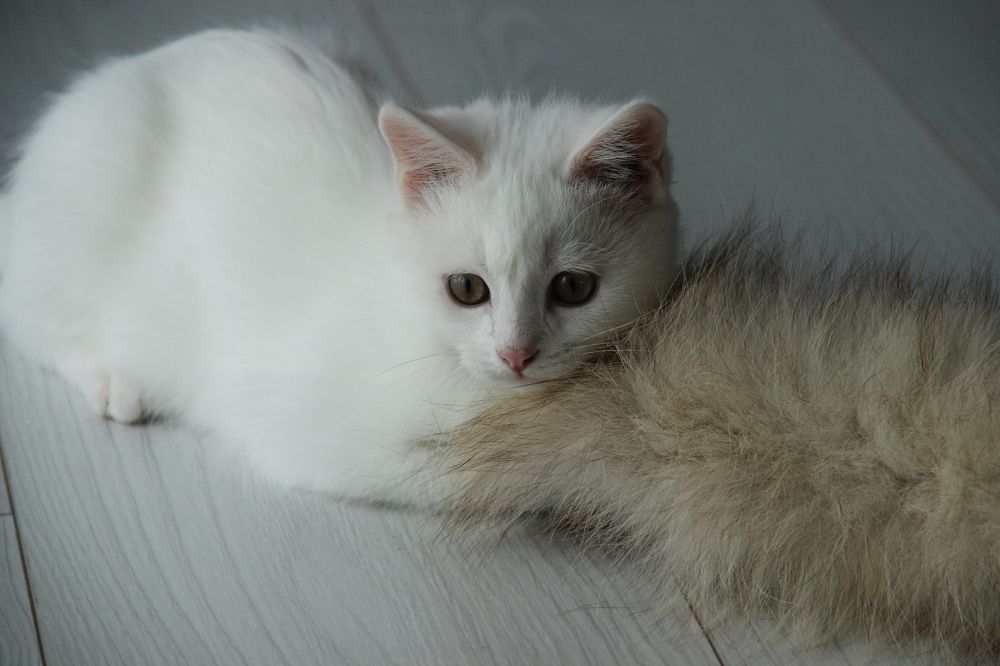 Photograph by Элиза Коробка