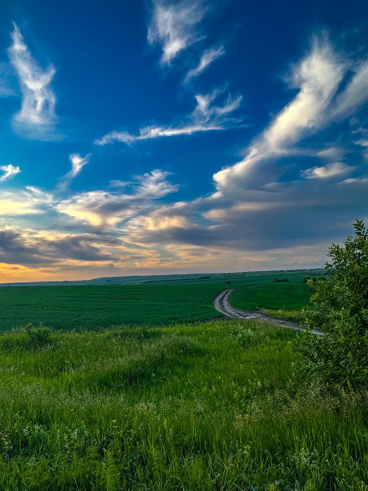 Photograph by Denis Naryshev