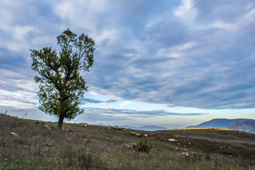 Photograph by MOHAMMED BOULHME