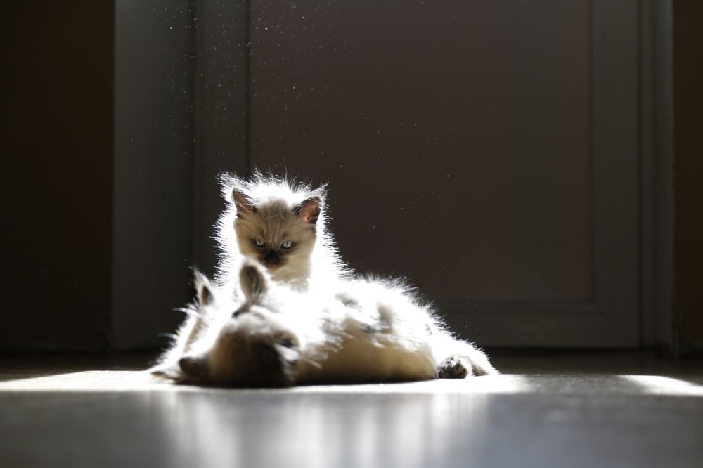 Photograph by Ирина Рыжова