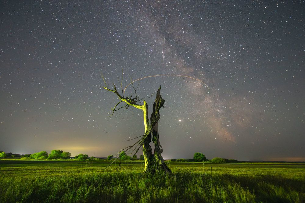 Photograph by Парамонов Григорий