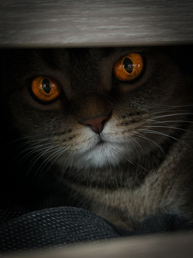 Photograph by Denis Naryshev