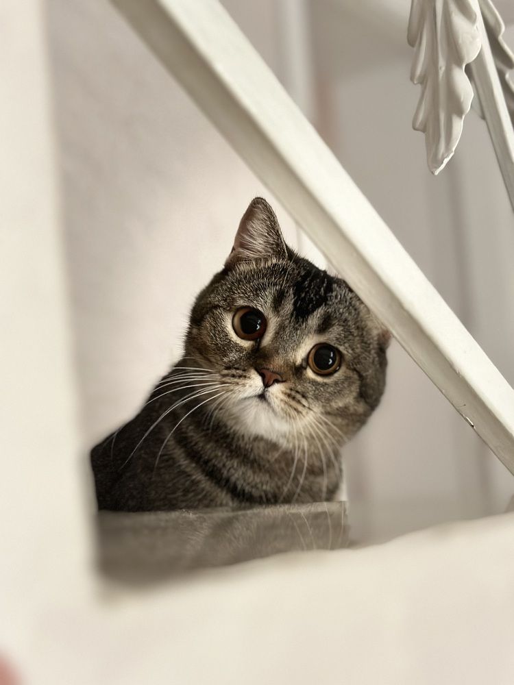 Photograph by Denis Naryshev