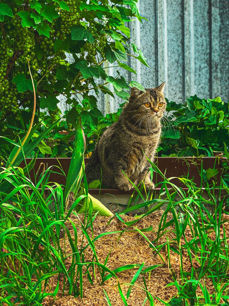 Photograph by Denis Naryshev