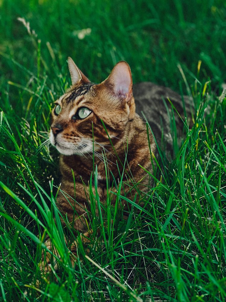 Photograph by Елена Громова