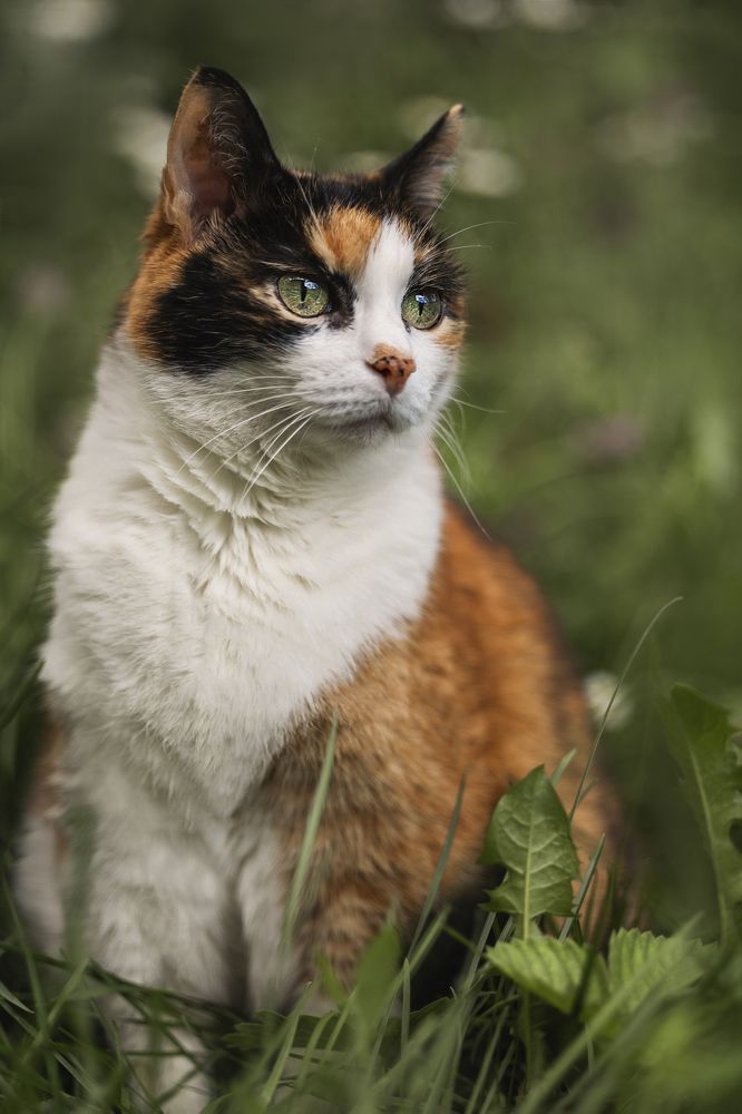 Photograph by Светлана Степашина