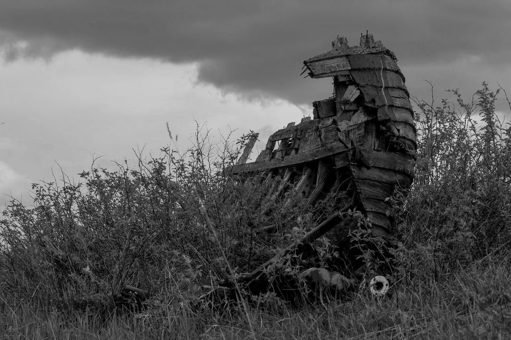 Photograph by Екатерина Филина