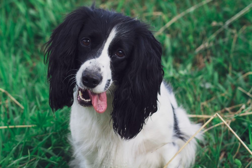 Photograph by Екатерина Филина