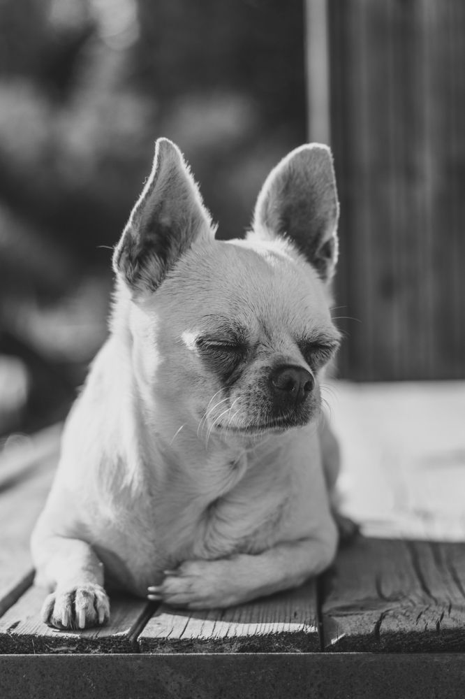 Photograph by Anna Dubinina