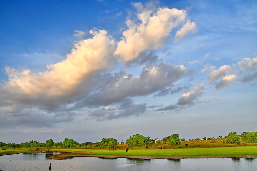 Photograph by Marzio Fattorini