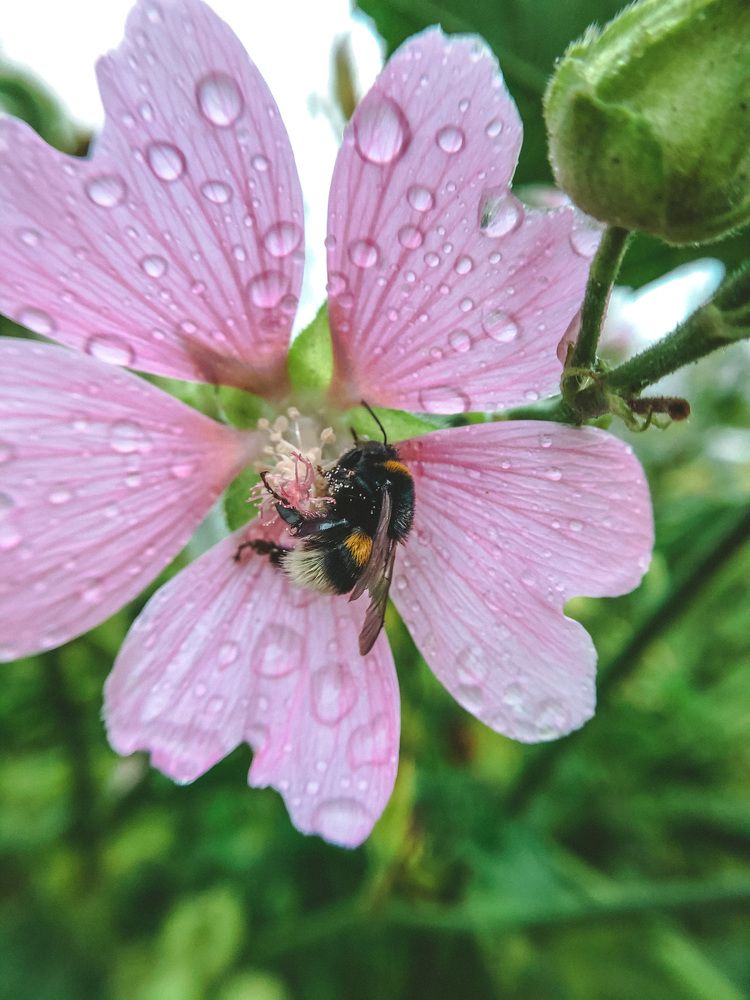 Photograph by Мария Королькова