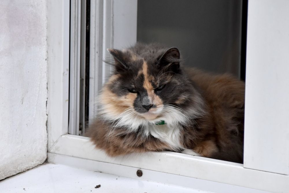 Photograph by Igors Rostikovs